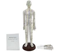 1/3 Life Size Human Acupuncture Model, 21'' Human Acupuncture Point Mannequin, for Acupuncturists and Other Medical Professionals Training Teaching Education Supplies(Female)