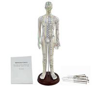 1/3 Life Size Human Acupuncture Model, 21'' Human Acupuncture Point Mannequin, for Acupuncturists and Other Medical Professionals Training Teaching Education Supplies(Male)
