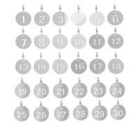 1-30 Key Tags with Labels, Steel Numbered Ring Number Silver Metal Check, NO.1-NO.30 for Organizer