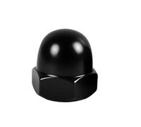 1-30PCS Acorn Domed Nut M3 M4 M5 M6 M8 M10 M12 M14 M16 M18 Brass/304 Stainless Steel /304 Black Hex Anti-Loose Rust Nuts(304 black,M10 (5pcs))