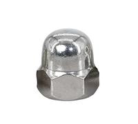 1-30PCS Acorn Domed Nut M3 M4 M5 M6 M8 M10 M12 M14 M16 M18 Brass/304 Stainless Steel /304 Black Hex Anti-Loose Rust Nuts(304 Stainless Steel,M12 (5pcs))