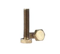 1-30pcs M3/M4/M5/M6/M8/M10/M12 Brass Hexagon Head Extended Mechanical Screws, M10x50mm(2pcs)