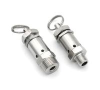 1/4" 1/2" BSPT Male Thread 1-10 Bar Exhaust 304 Stainless Steel Mini Spring Pressure Relief Safety Valve Air Compressor(1/4",10 Bar Fixed)