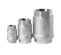 1/4 "3/8" 1/2 "1" 3/4 "2" BSPT Stainless Steel SS304 SS316 Internal Thread Vertical Lifting Inline Spring Check Valve DN15 DN25(1/4",SS316L)