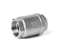 1/4 inch 3/8 inch 1/2 inch 1 inch 3/4 inch 2 inch Stainless Steel SS304 SS316 Internal Thread Vertical Lift Inline Spring Check Valve DN15 DN25(1-1/2",SS304)