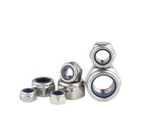 1/5/10/20pcs M2 M2.5 M3 M4 M5 M6 M8 M10 M12 M14 M16 M18 M20 M22 304 Stainless Steel Nylon Self-lock Hex Nuts Locknut(M10 x10pcs)