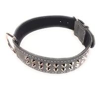 1.5 inch Wide Grey Leather Dog Collar with Studded Design Fit Dogs like Staffordshire Bull Terrier, English Bulldogs, Pit Bull and many more (Large: 20" - 24")
