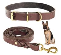 1.5 Meter Premium Leather Dog Leash and Collar Set for Stylish Dog, Soft Leather Collar and Strong Double Braided Leash, Comfortable and Secure Dog Training, Walking, Playing.… (Medium)