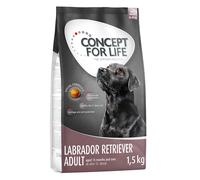 Concept for Life Labrador Retriever Adult - 6kg