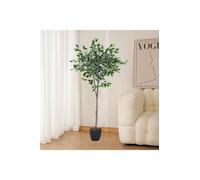 1.5m Large Artificial Variegated Weeping Fig with Fabric Foliage for Home & Office Decor in Green The hot sale Green
