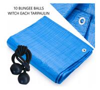 (1.5m x 2m) Blue S-Grade Tarpaulin Cover with 10 Black Bungee Ball 4", Waterproof Protective Sheet, Multi-Purpose Outdoor Storage Cover