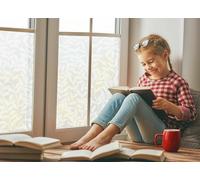 PREMIUM STATIC CLING LEAVES FROSTED GLASS EFECT SELF ADHESIVE DCFIX 1.5M X 67cm