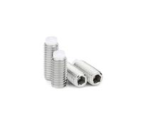 1-5pcs M2 M2.5 M3 M4 M5 M6 M8 M10 M12M16 304 Stainless Steel Hex Socket Plastic Dog Convex Point Tip Grub Headless Bolt Set Screw(4mm,5pcs M6)