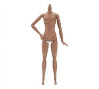 1/6 Scale Female Supermodel Doll Body,Highly Articulated 22 Joint Figure,26cm Smooth Plastic Mannequin for Artists,Compatible with 1/6 Scale Heads and Shoes,Ideal for Display and Collection (Normal)