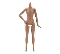 1/6 Scale Female Supermodel Doll Body,highly Articulated Figure (Normal) | 26cm Plastic Mannequin for Artists,Multi Jointed Movable doll body, Ideal for Display and Collection