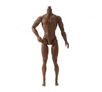 1/6 Scale Narrow Shoulder Male Body Doll Action Figure 12 Inch Flexible Male Figure Body Doll Miniature Figure Without Head Sculpt