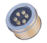 1 / 6Pcs Acoustic Guitar Bridge Pins Replacement Guitar Bridge Saddles Nut String Studs for Acoustics Folk Ukuleles String Peg Instrument Replacement Parts and Accessories