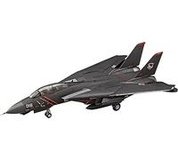 ハセガワ 1/72 ACE Combat Razgriz F14A Tomcat