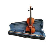 1/8 4/4 3/4 1/2 1/4 1/16 Violin With Canvas Case And Brazil Bow (Color : 1/8)