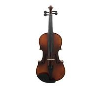 1/8 Violin Maple Wood Beginner Violin With Shoulder Rest Box Strings Handle Sticker Loudspeaker Parts Set