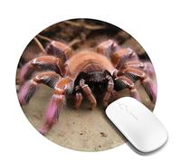 1 8inch Round Mouse Pad Large Mexican Pink Tarantula Mouse Mat with Non-Slip Rubber Base Custom Computer Mouse Pads for Wireless Mouses Laptop Office Desk Accessories Gaming Mousepad