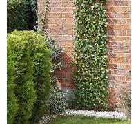 1.8m Lemon Leaf Artificial Trellis Screening Panel Marco Paul Bottle Green One Size