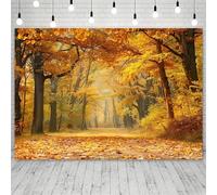 1 autumn photo background - with misty sunlight suitable for portraits and Thanksgiving decorations - polyester 440x300CM