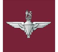 1 Bn The Parachute Regiment Paras (SK6AA) Waterproof Vinyl Stickers Decal Army Veteran Squaddie (75mm)