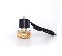 1" Brass Underwater Solenoid Valve Water Valve Solenoid 220VAC 24VDC 12VDC 24VAC 110VAC Fountain Solenoid Valve AUOQKQUT(BSP_110VAC)