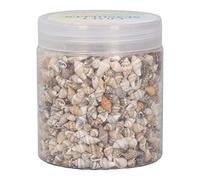 1 Can Shell Bead Tiny Sea Shells Ocean Beach Natural Spiral Seashells Craft Charms for DIY Fish Tank Landscaping Drift Bottle Decoration