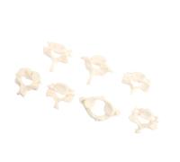 1: Cervical Spine Model, Teaching Aid Anatomical Vertebrae 1 PVC | Life Size Structure, Portable Display, Supports Chiropractors, Students, Science Labs and Office Training