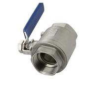 1 DN8-DN50 SS304 Stainless Steel Internal Thread Two-Piece Full-bore Ball Valve with Vinyl Handle Threaded Valve(DN8)