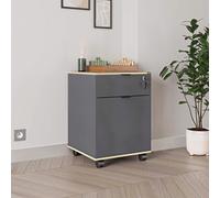 1 Door 1 Drawer Lockable Mobile Office Storage Cabinet - Anthracite Grey FWStyle Grey One Size
