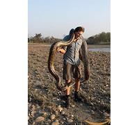 1 Dvd Amaray - Freeks Wilde Wereld - Deel 12