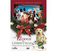 1-DVD SPEELFILM - 12 DOGS OF CHRISTMAS