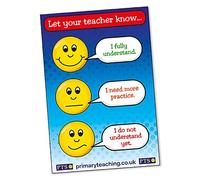1 Expressions Understanding Paper Poster Classroom Posters Displays A2 Primary Teaching Services