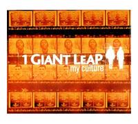 1 Giant Leap - My Culture