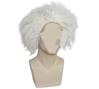 1 Glasses+Beard+Eyebrows+12 Inch Mad Scientist Crazy White Doctor Cosplay Costume Wig For Halloween Christmas School