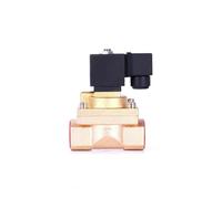 1" High Pressure Normally Closed Solenoid Valve 50 Bar 220V 110V 24V 12V(G-380VAC)