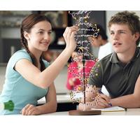 1 Hour Lesson - GCSE Chemistry Workshop With Bump Your Grade (Online)