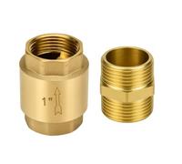 1 Inch Brass Check Valve Set, G1 Internal Thread with G1 Double Nipple Male Thread, DN25 Backflow Preventer for Water Pipe, Pump, Garden Watering and Home Technology