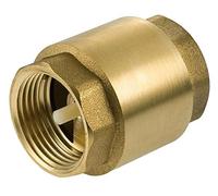 1" Inch BSP Brass Check Non-Return Valve Female with Plastic Insert