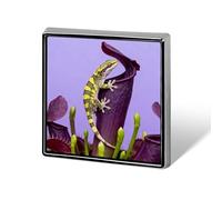 1 Inch Custom Gecko on Venus Flytrap Lapel Pins for Suits Funny Brooches for Men Women Vintage Pin Badges for Bags Jackets Backpacks Hats Button Badge Collection Gifts-Square