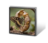 1 Inch Custom Monarch Butterfly Eclosion Lapel Pins for Suits Funny Brooches for Men Women Vintage Pin Badges for Bags Jackets Backpacks Hats Button Badge Collection Gifts-Square