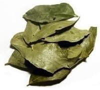 1 kg Curry Leaves Dried Natural Aromatic Organicially Grown (Sri Lankan) by Masala Cottage®