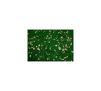 1 kg Daisy & Clover Heritage Lawn Grass Seed Cottage Garden Hard Wearing 1kg