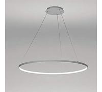 1-Light Circle Pendant Light,LED Metal Acrylic Chandelier Modern Suspended Adjustable Hanging Light for Living Room,Bedroom,Kitchen,White+WhiteLight-80cm