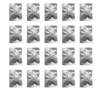 1. Long-Lasting 30-Day Car Air Freshener Refill Discs Multiple Natural Scents Family Safe Multiple Scent Car Refill Tabs