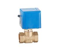 1" Motorized Electric Brass Globe Valves 2 Wire AC220V Two Way Stop Shut-off Valve(110V)
