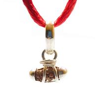 1 Mukhi Rudraksha (Real Rudraksha Seed - Indonesian Origin) Made in Pure Silver - Lab Certified